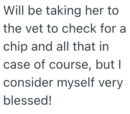 Will be taking her to the vet to check for a chip and all that in case of course, but I consider myself very blessed!