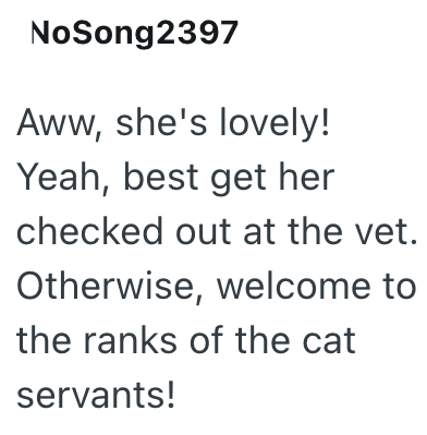 NoSong2397 Aww, she's lovely! Yeah, best get her checked out at the vet. Otherwise, welcome to the ranks of the cat servants!