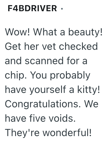 F4BDRIVER ⚫ Wow! What a beauty! Get her vet checked and scanned for a chip. You probably have yourself a kitty! Congratulations. We have five voids. They're wonderful!
