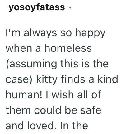 yosoyfatass ⚫ I'm always so happy when a homeless (assuming this is the case) kitty finds a kind human! I wish all of them could be safe and loved. In the