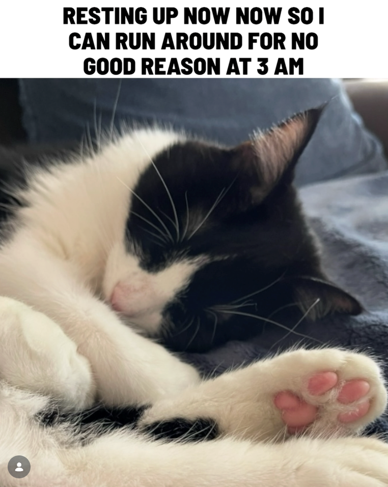 RESTING UP NOW NOW SO I CAN RUN AROUND FOR NO GOOD REASON AT 3 AM