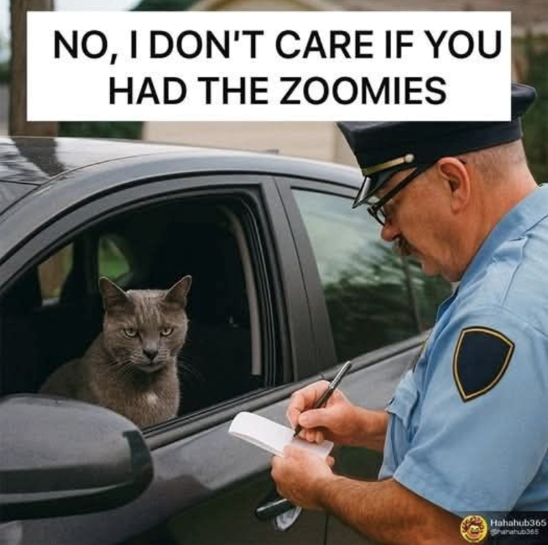 NO, I DON'T CARE IF YOU HAD THE ZOOMIES Hahahub365 hahahub365