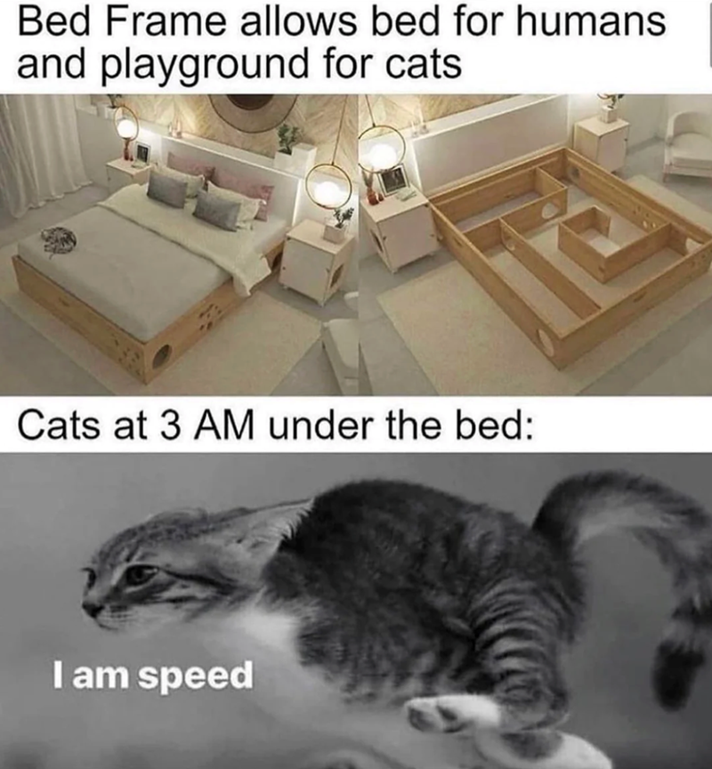 Bed Frame allows bed for humans and playground for cats Cats at 3 AM under the bed: I am speed