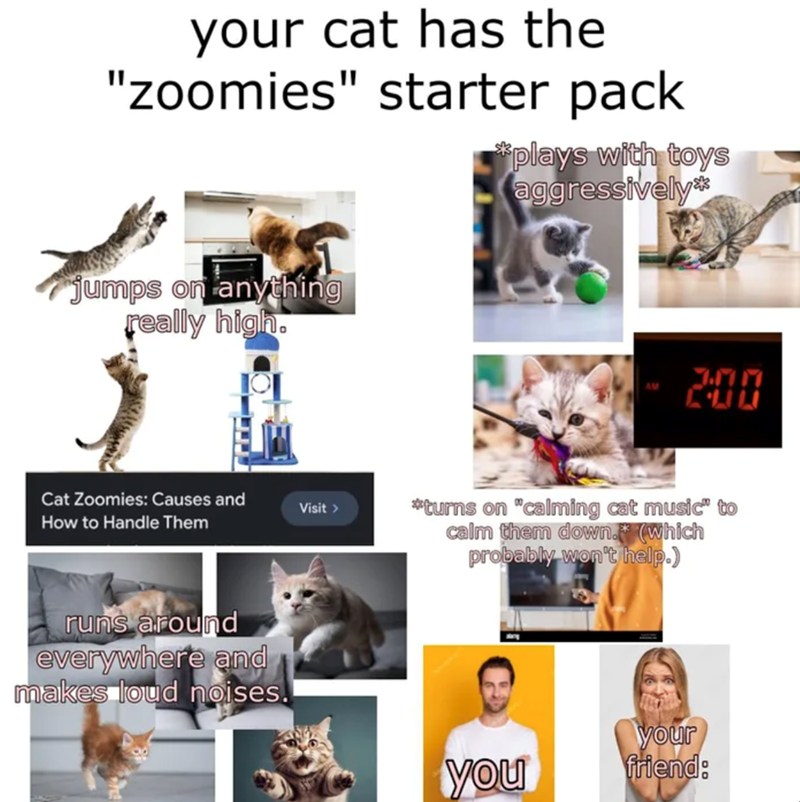 your cat has the "zoomies" starter pack *plays with toys aggressively* jumps on anything really high. Cat Zoomies: Causes and Visit > How to Handle Them runs around everywhere and makes loud noises. 2:00 *turns on "calming cat music" to calm them down.* (which probably won't help.) you your friend: