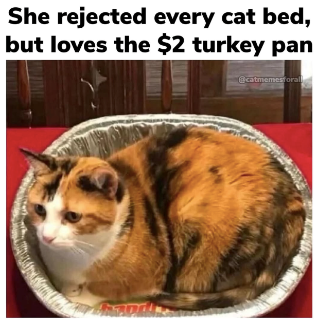 She rejected every cat bed, but loves the $2 turkey pan @catmemesforall