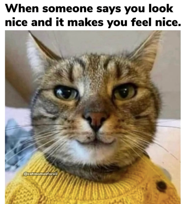 When someone says you look nice and it makes you feel nice. @catmemesforall