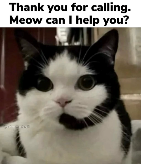 Thank you for calling. Meow can I help you? @catmemesforall