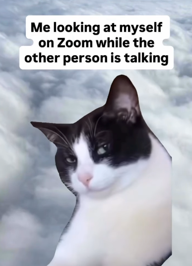 Me looking at myself on Zoom while the other person is talking