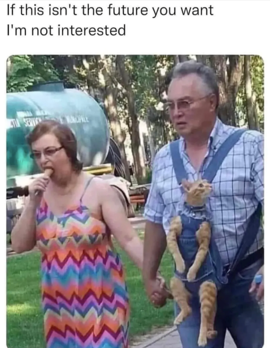 If this isn't the future you want I'm not interested