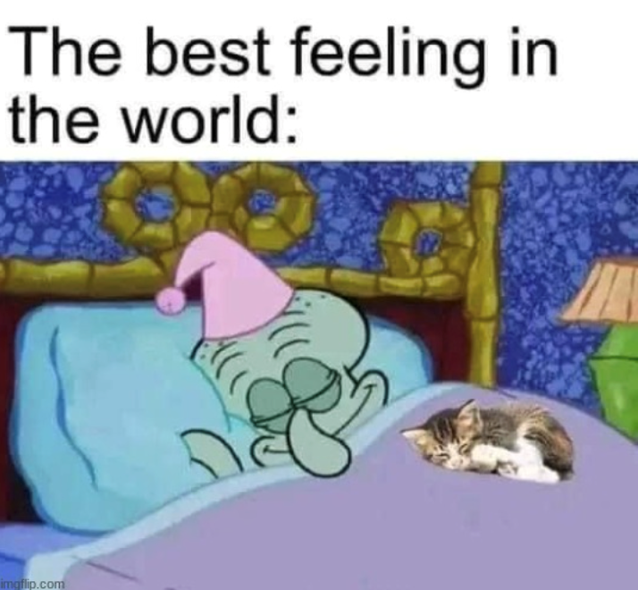 The best feeling in the world: imgflip.com