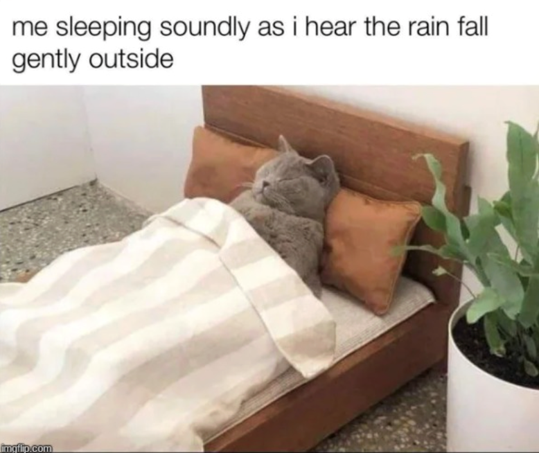me sleeping soundly as i hear the rain fall gently outside imgflip.com