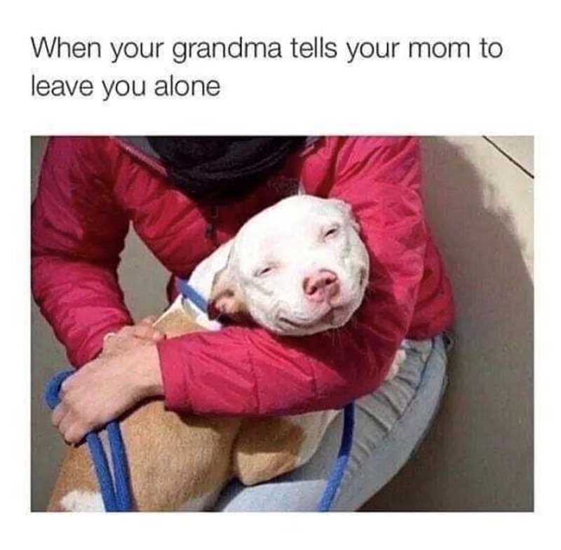 When your grandma tells your mom to leave you alone