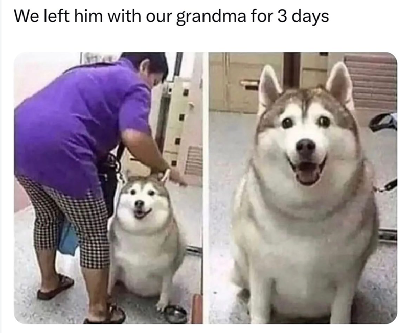 We left him with our grandma for 3 days
