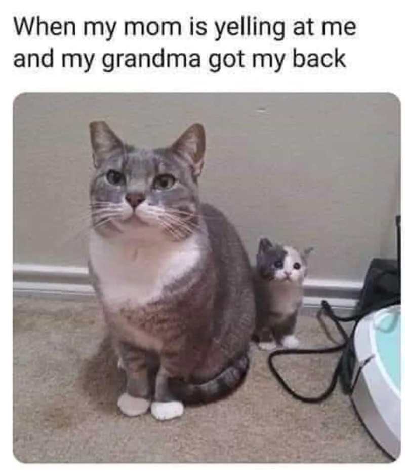 When my mom is yelling at me and my grandma got my back