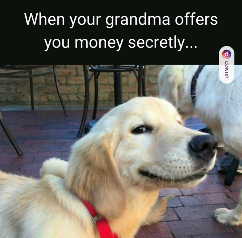 When your grandma offers you money secretly... 10324 CON10