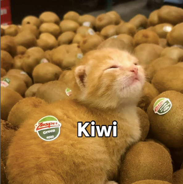 Zaspri Green 4000 Kiwi SCE