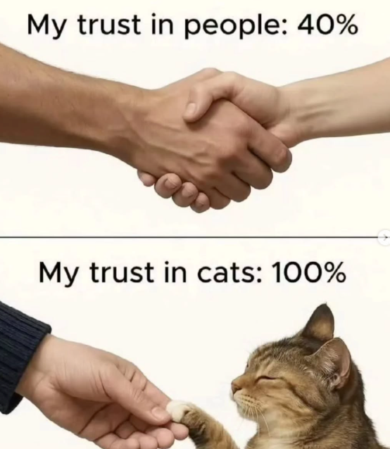 My trust in people: 40% My trust in cats: 100%
