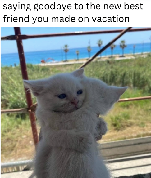 saying goodbye to the new best friend you made on vacation