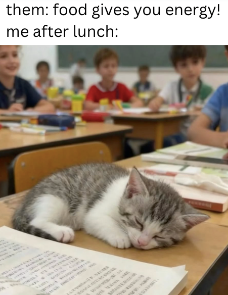 them: food gives you energy! me after lunch: www. wwww.