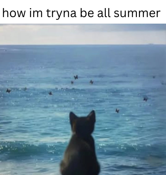 how im tryna be all summer