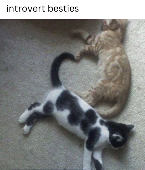 introvert besties