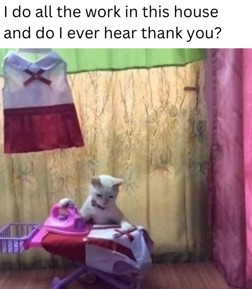 I do all the work in this house and do I ever hear thank you?