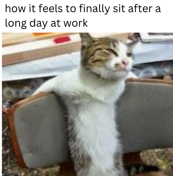 how it feels to finally sit after a long day at work