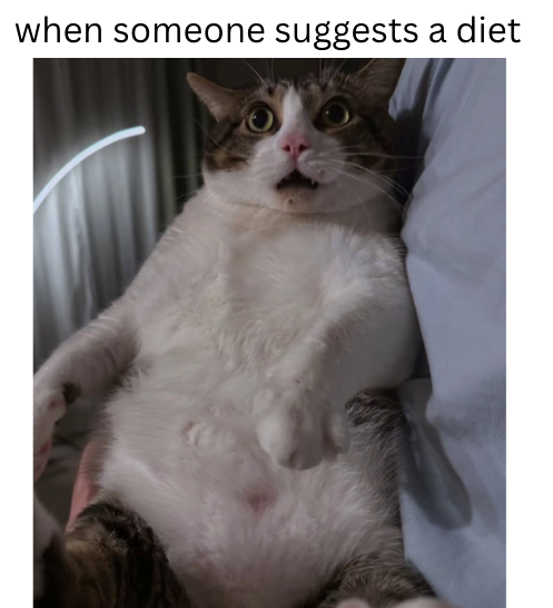 when someone suggests a diet