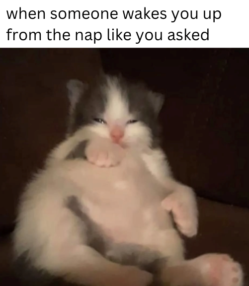 when someone wakes you up from the nap like you asked