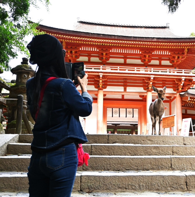 Cheezburger Image 10626492416