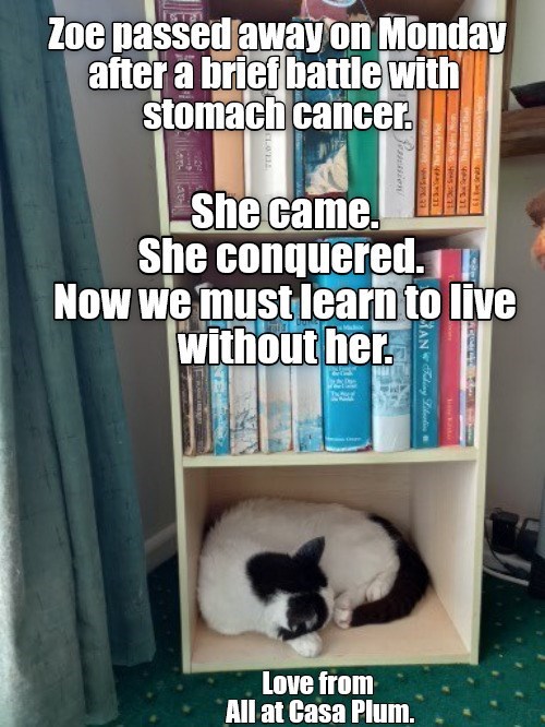 Cheezburger Image 10626496512