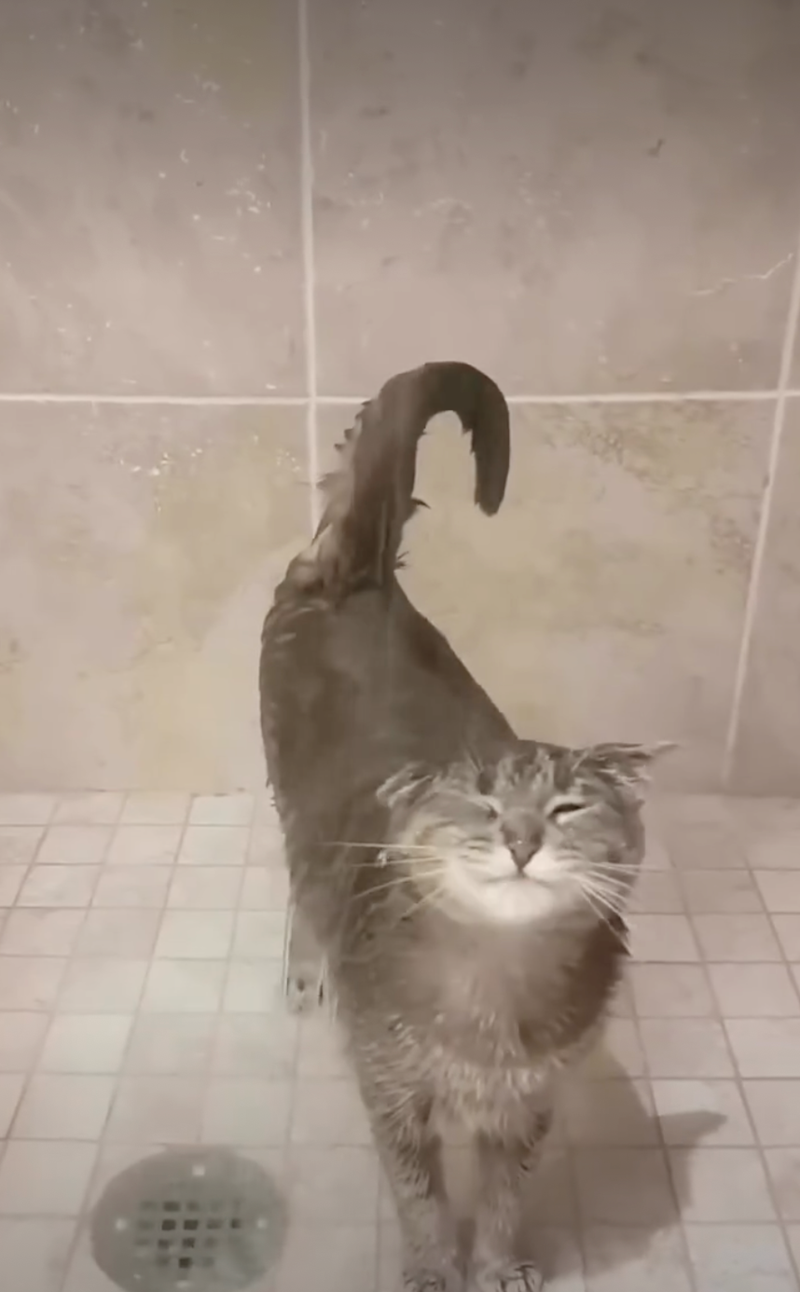 Cheezburger Image 10626508032