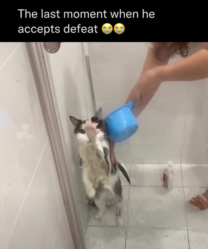 The last moment when he accepts defeat