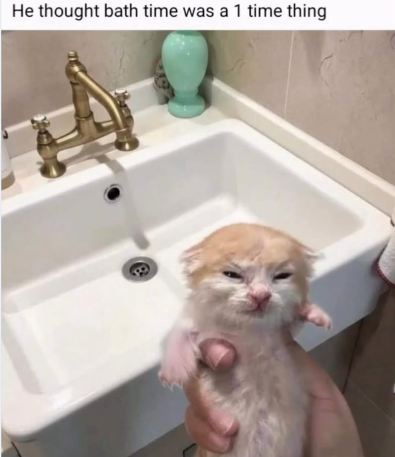 He thought bath time was a 1 time thing