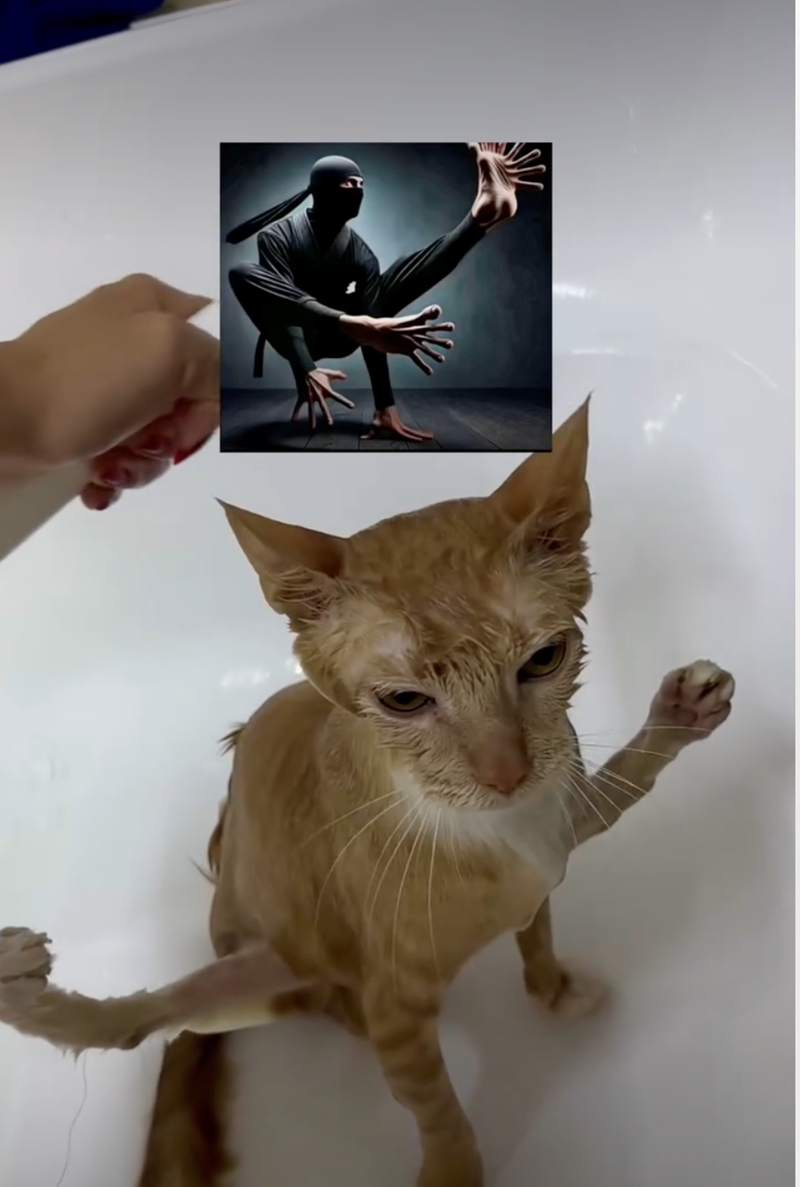 Cheezburger Image 10626511104