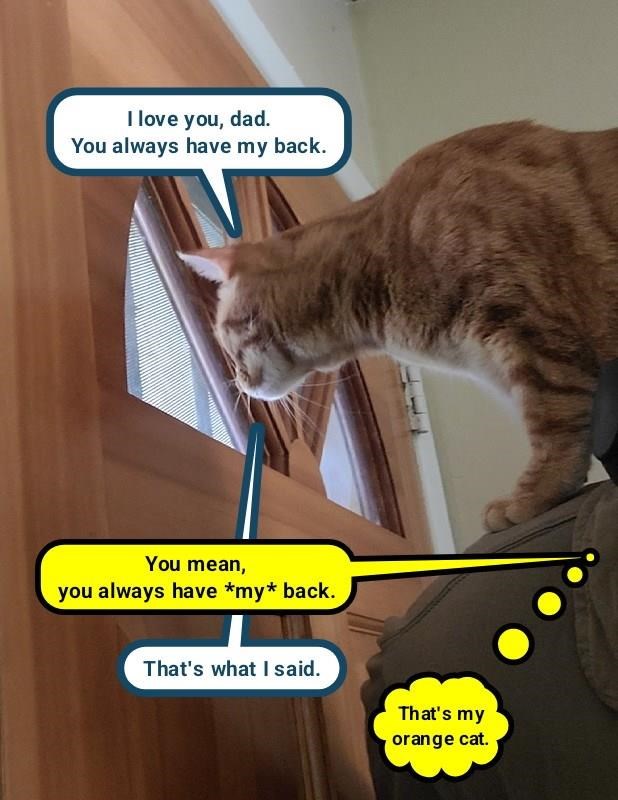 Cheezburger Image 10626516992