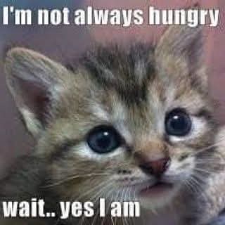 I'm not always hungry wait.. yes I am