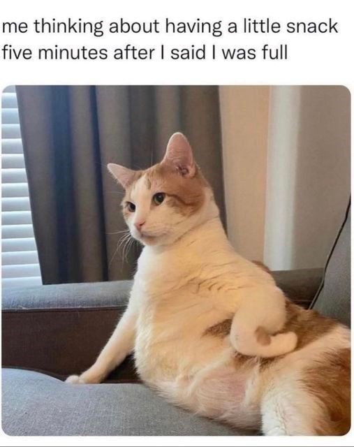 me thinking about having a little snack five minutes after I said I was full