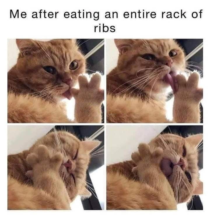 Me after eating an entire rack of ribs
