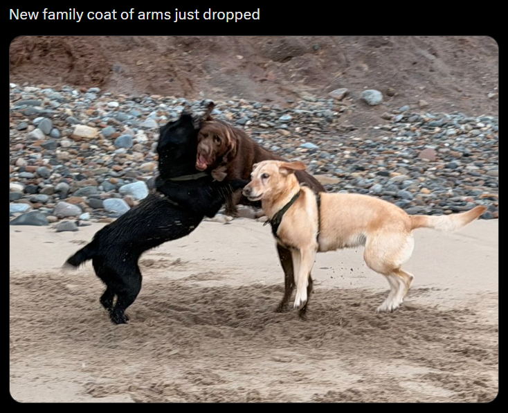 New family coat of arms just dropped