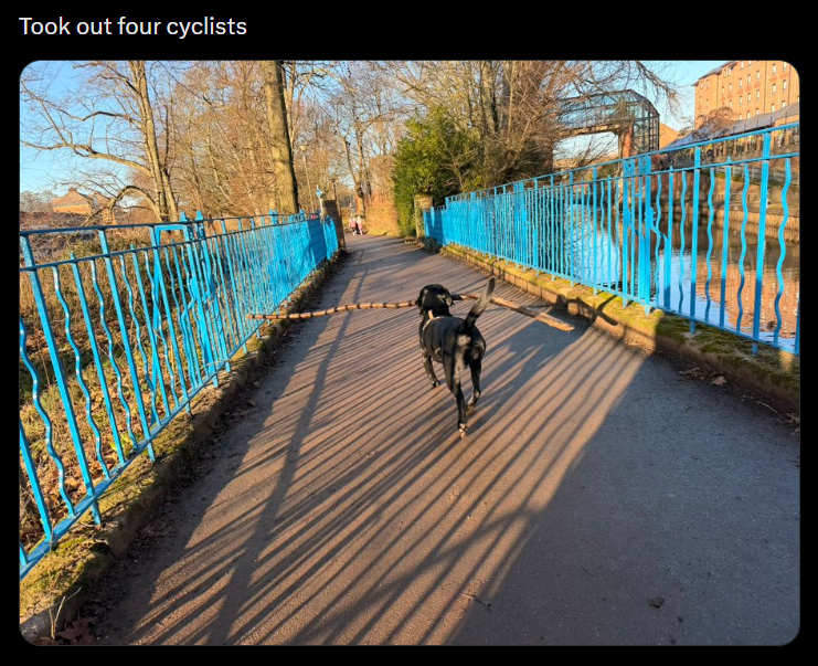 Took out four cyclists