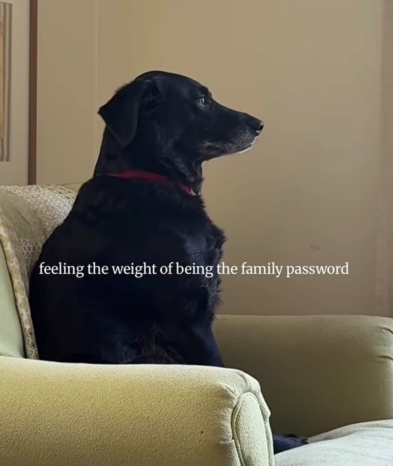 feeling the weight of being the family password
