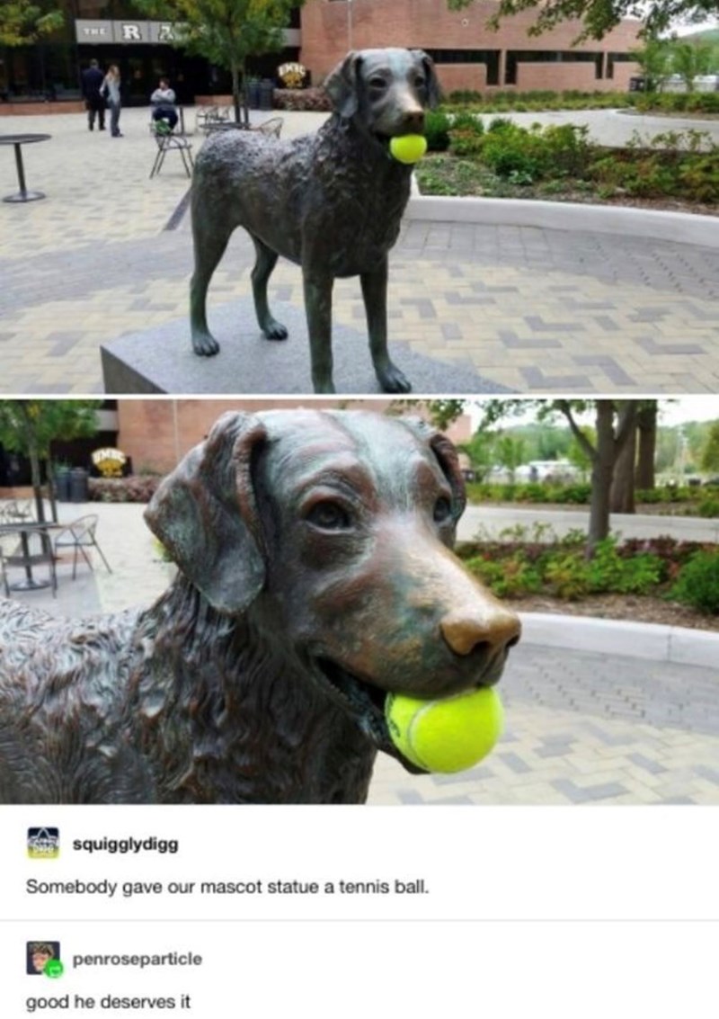 I THE RA squigglydigg Somebody gave our mascot statue a tennis ball. penroseparticle good he deserves it