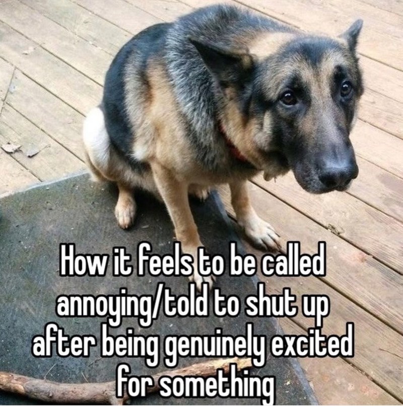 How it feels to be called annoying/told to shut up after being genuinely excited for something