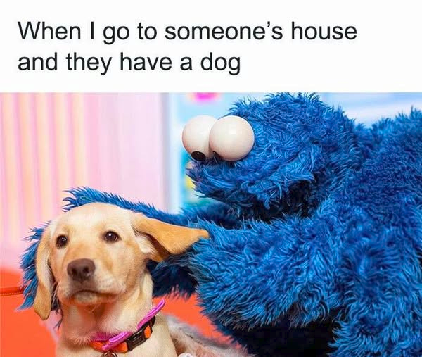 When I go to someone's house and they have a dog
