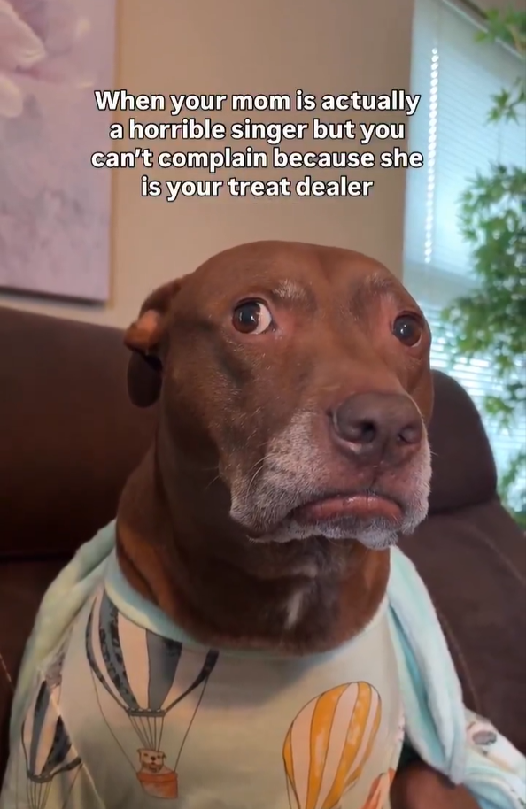 When your mom is actually a horrible singer but you can't complain because she is your treat dealer