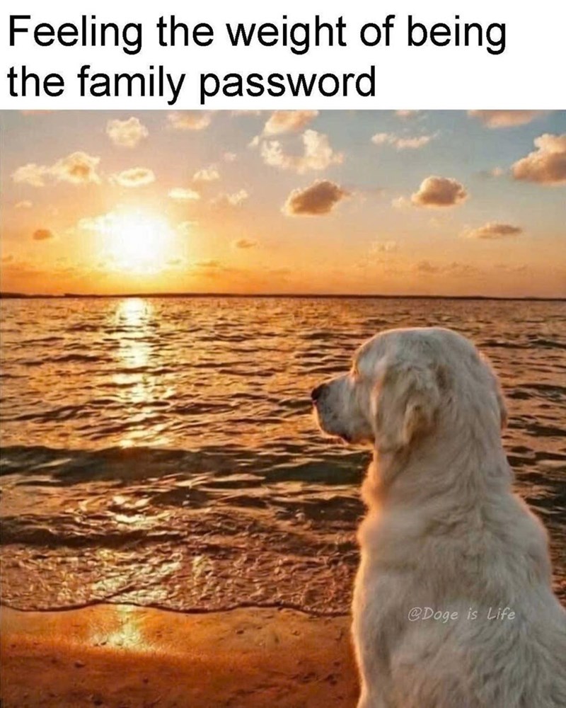 Feeling the weight of being the family password @Doge is Life