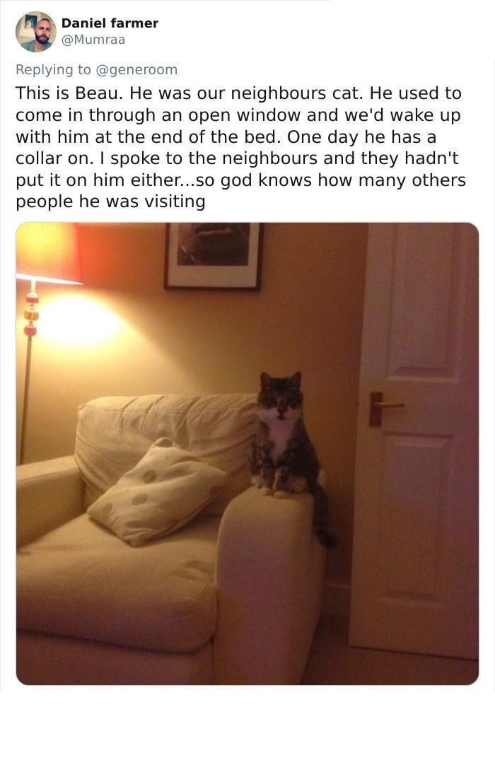 Daniel farmer @Mumraa Replying to @generoom This is Beau. He was our neighbours cat. He used to come in through an open window and we'd wake up with him at the end of the bed. One day he has a collar on. I spoke to the neighbours and they hadn't put it on him either...so god knows how many others people he was visiting