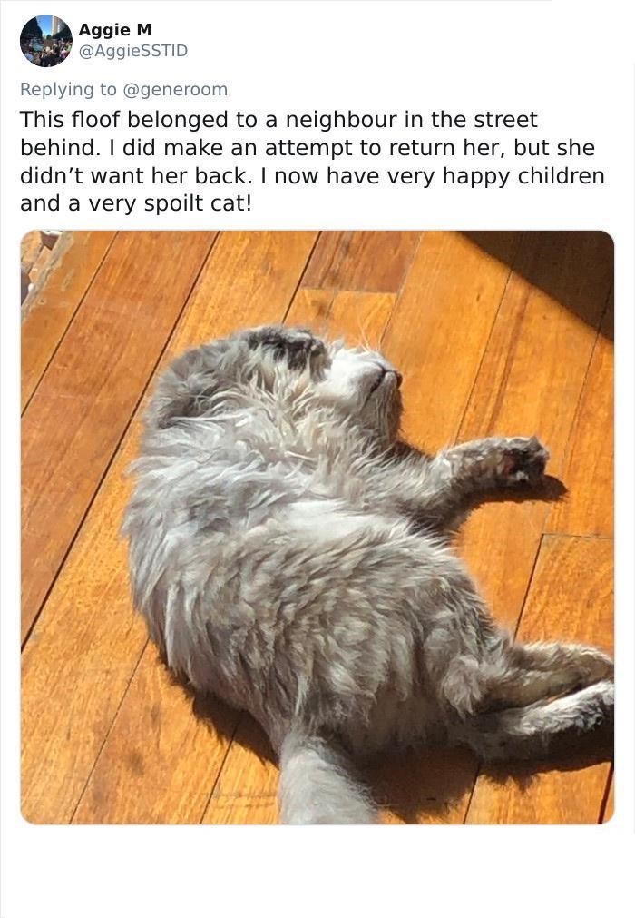 Aggie M @AggieSSTID Replying to @generoom This floof belonged to a neighbour in the street behind. I did make an attempt to return her, but she didn't want her back. I now have very happy children and a very spoilt cat!