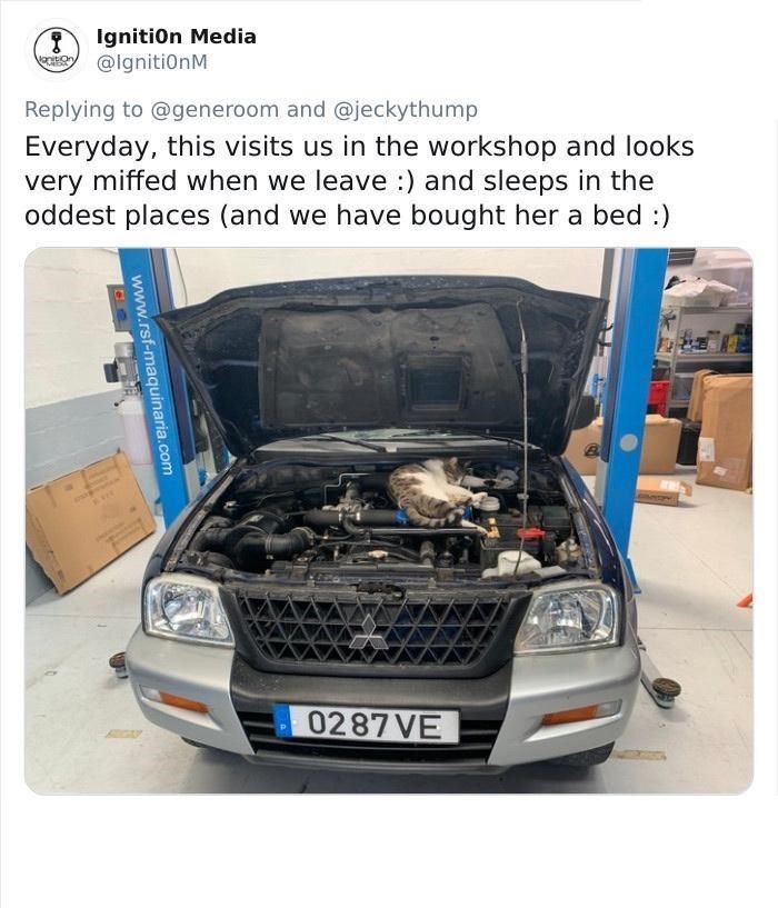 Ignition Media @IgnitionM Replying to @generoom and @jeckythump Everyday, this visits us in the workshop and looks very miffed when we leave :) and sleeps in the oddest places (and we have bought her a bed :) www.rsf-maquinaria.com 0287 VE